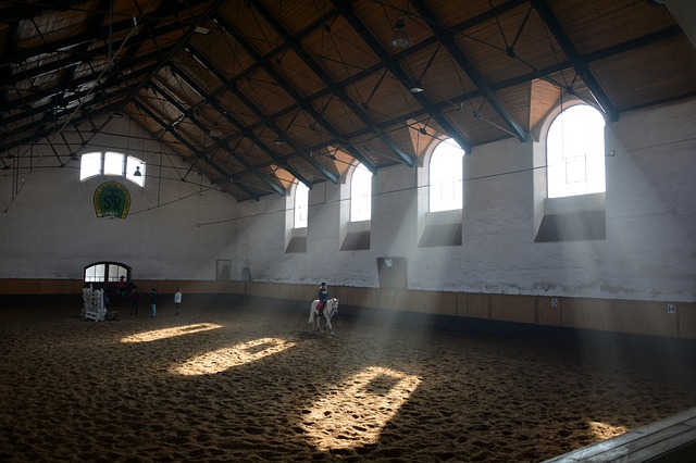 Místnost hřebčínu